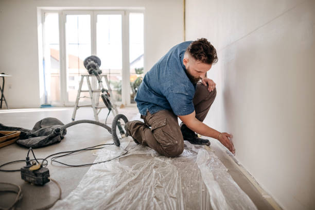 Best Drywall Crack Repair  in Kirkwood, MO