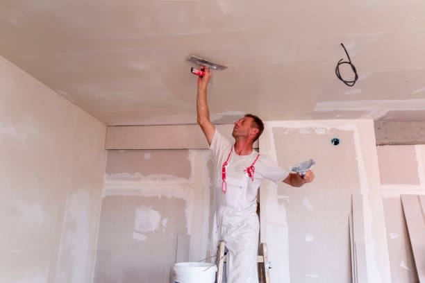 Best Repainting for Renovations  in Kirkwood, MO